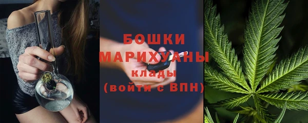 спиды Магас
