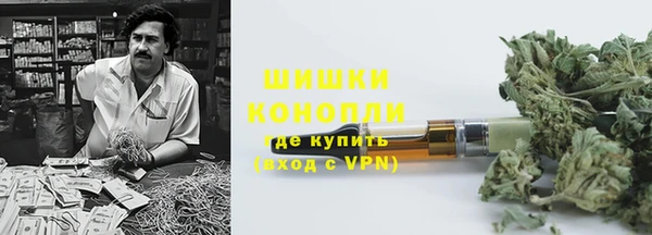 спиды Магас