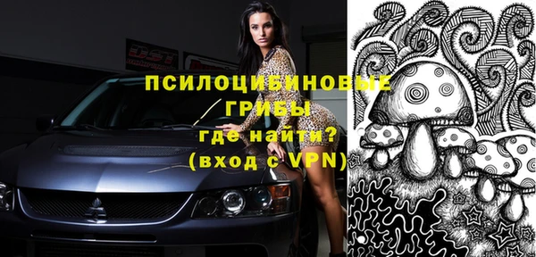спиды Магас
