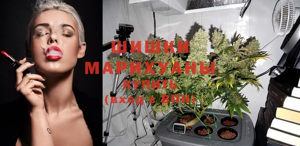 индика Магадан