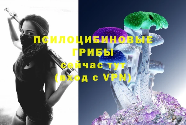 спиды Магас